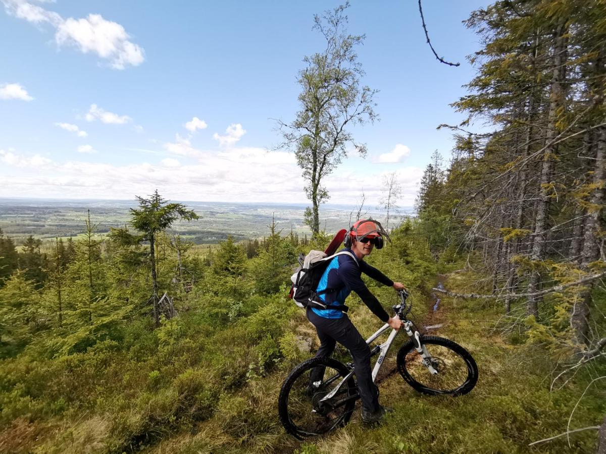 Kapteinsboligen i Evjua Skreia Exteriör bild