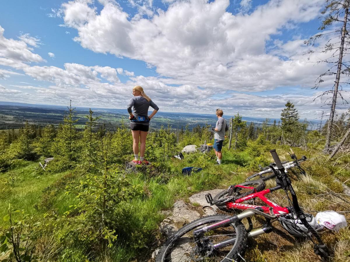 Kapteinsboligen i Evjua Skreia Exteriör bild