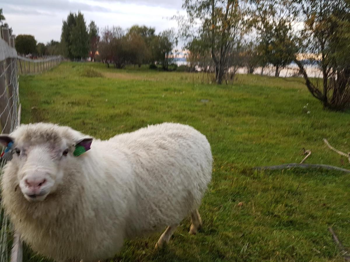 Kapteinsboligen i Evjua Skreia Exteriör bild