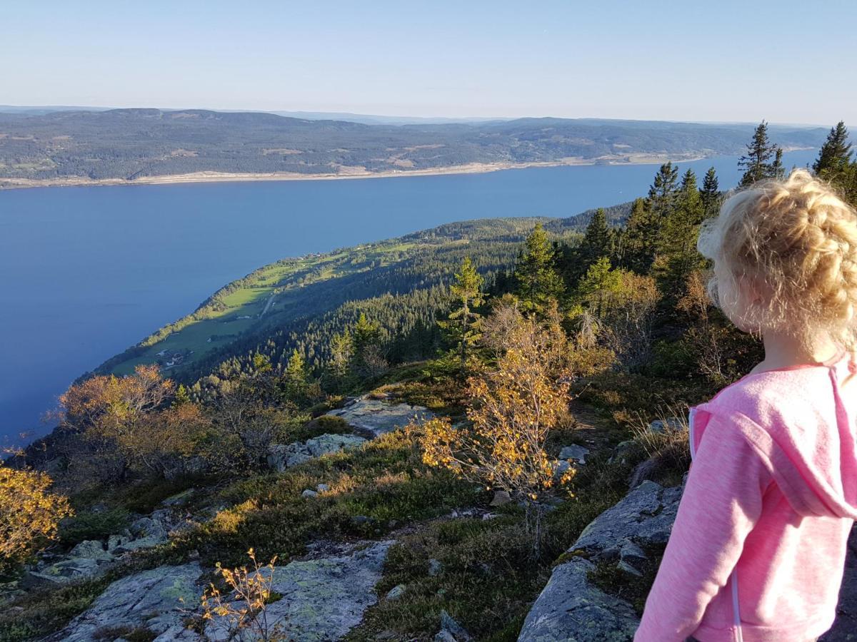 Kapteinsboligen i Evjua Skreia Exteriör bild