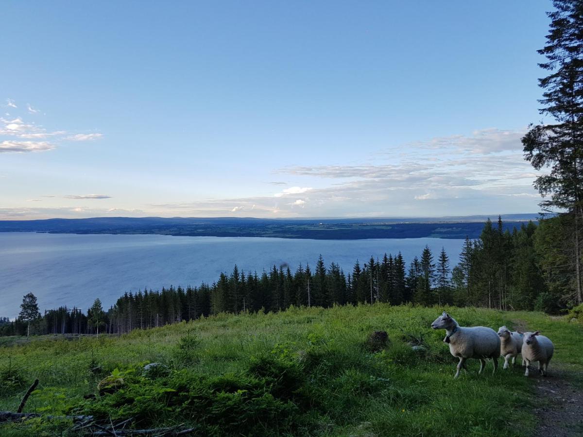 Kapteinsboligen i Evjua Skreia Exteriör bild